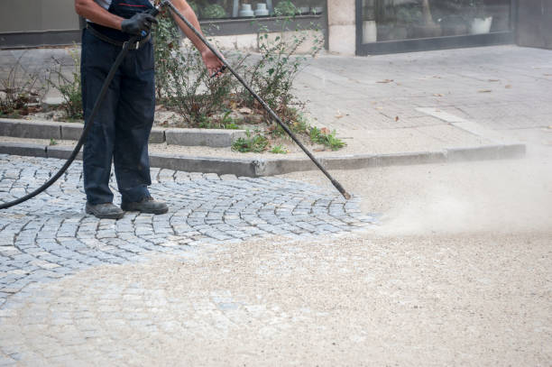 Animal Enclosure Cleaning in Babson Park, FL